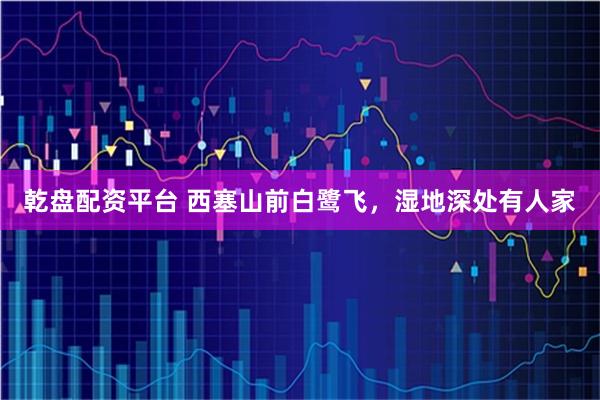 乾盘配资平台 西塞山前白鹭飞，湿地深处有人家