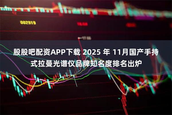 股股吧配资APP下载 2025 年 11月国产手持式拉曼光谱仪品牌知名度排名出炉