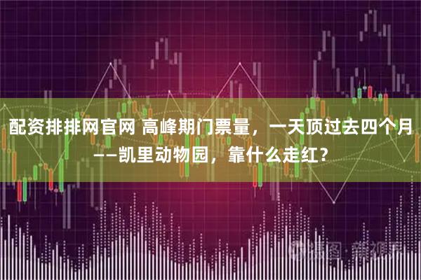 配资排排网官网 高峰期门票量，一天顶过去四个月——凯里动物园，靠什么走红？