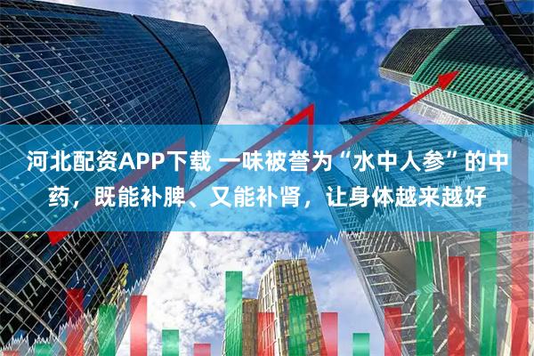 河北配资APP下载 一味被誉为“水中人参”的中药，既能补脾、又能补肾，让身体越来越好